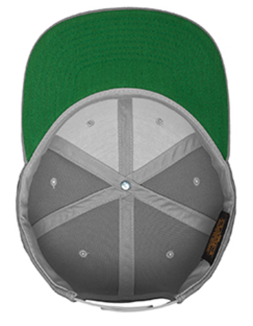 Raptors Cap